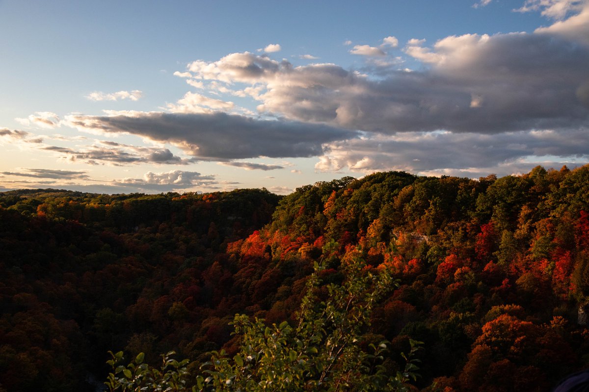 CauseShoot's tweet image. Took this photo earlier today!
have a great day everyone!!! be kind!