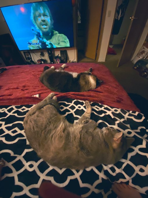 Ok it&rsquo;s fine. https://t.co/0en97QxTjY<a href="/tag/newprofilepic"class="tags"><span>#newprofilepic</span></a>