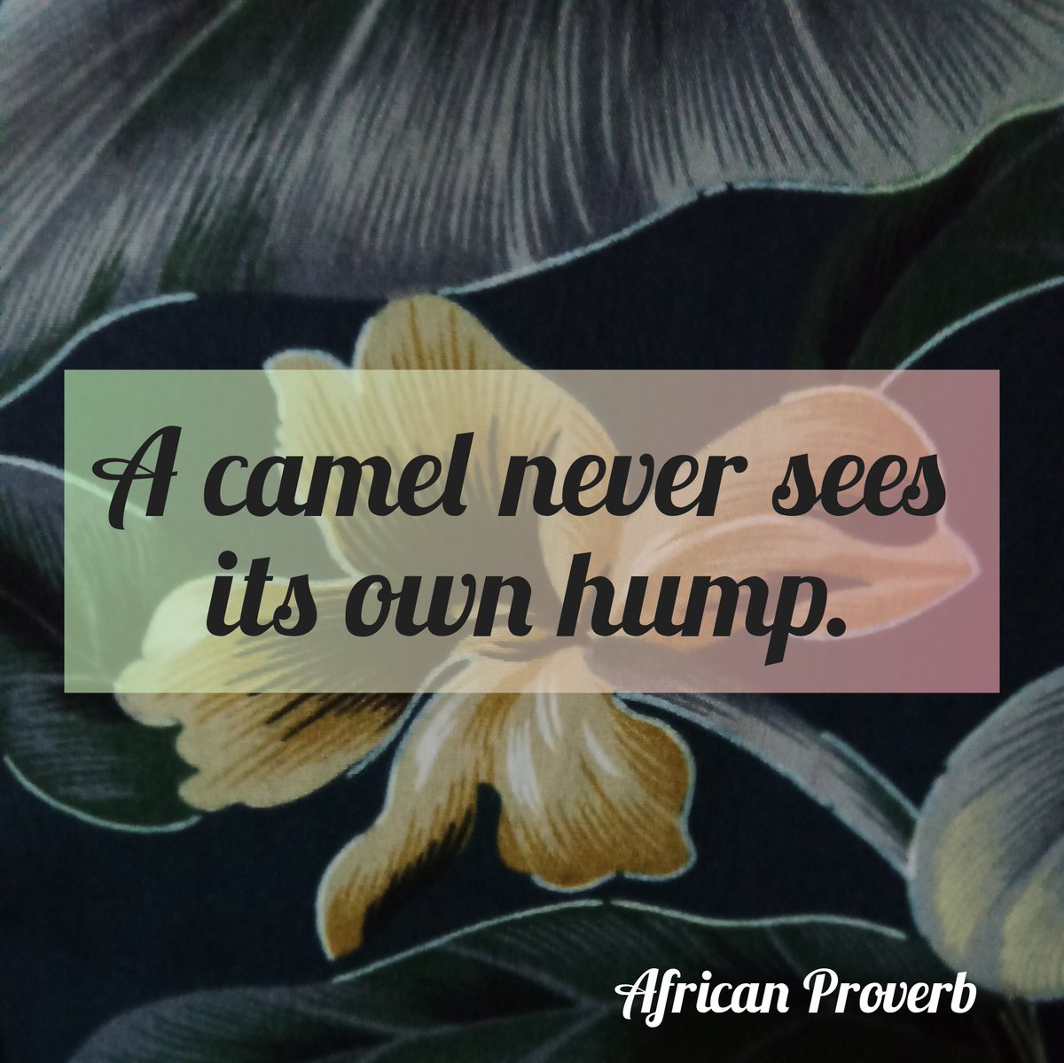 A camel never sees its own hump. #AfricanProverb
