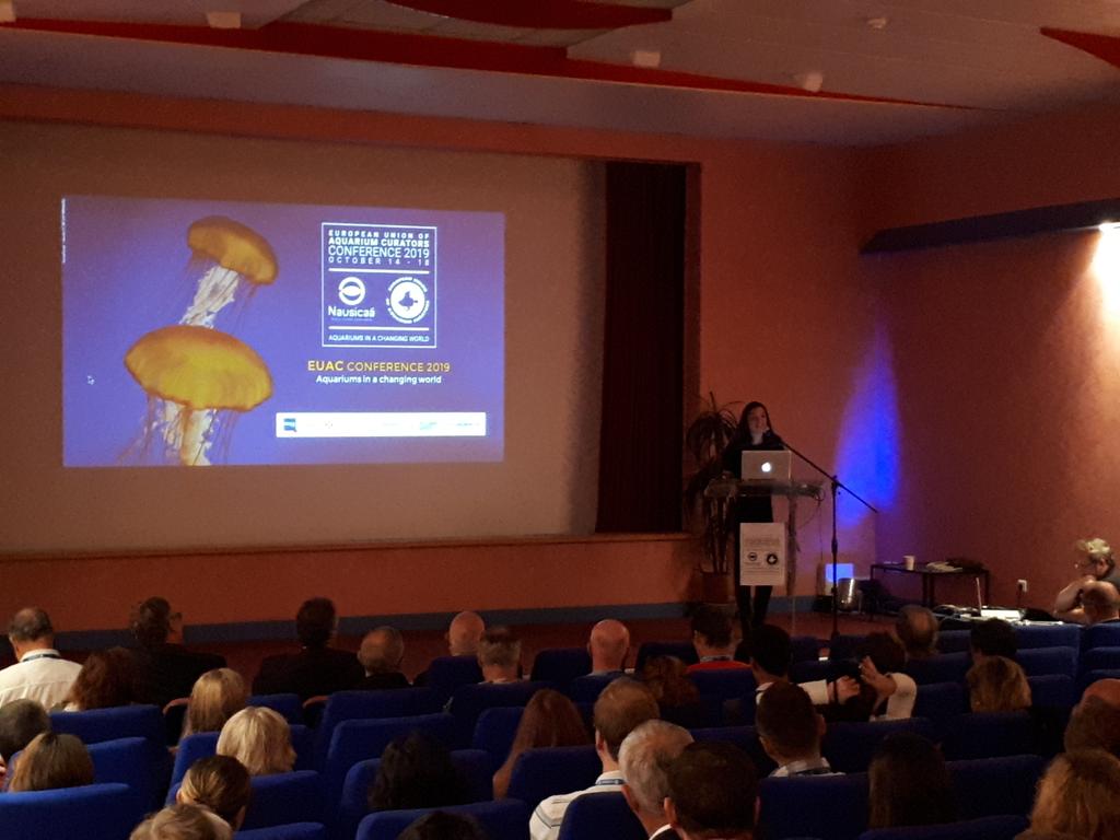 PlaneteNAUSICAA's tweet photo. The annual conference of European aquarium curators has just begun. First keynote speaker @delphinepaulet
#EUACConference https://t.co/DFFiUHeofy