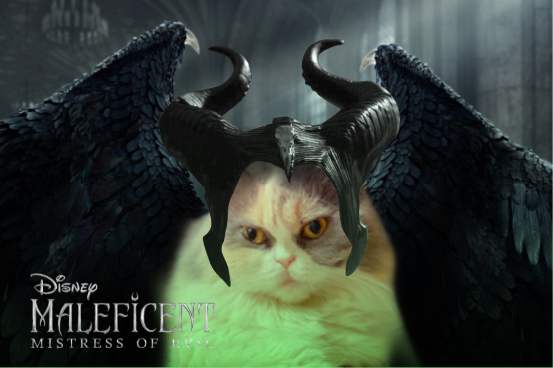 disneystudiojp's tweet photo. 美しき最強のヴィラン #マレフィセント に【簡単に】なりきれるアプリ登場⚡
アプリ<PicsArt>を使い、マレフィセント風に写真を加工してみよう⇒https://t.co/idJcq8JBFh
更に‼撮影した写真で #ハロウィーン キャンペーン🎃に応募しよう⇒https://t.co/Wl0yE2Q5KB
『#マレフィセント2』10/18🎬 https://t.co/4vtjdJ079l