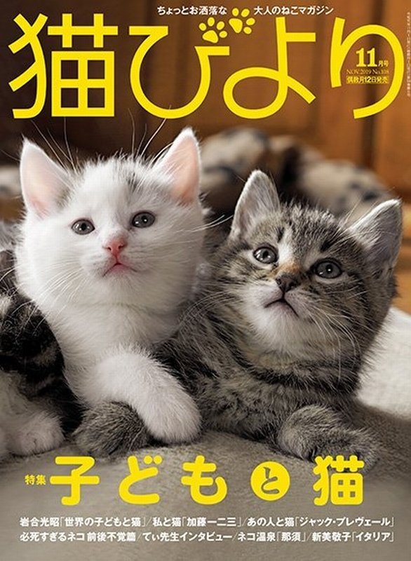 曾祖母が猫びよりの表紙を見て「あらかわいい猫ちゃん。しろちゃん、よもぎちゃん」ってにこにこしてたんだけどキジトラ柄の猫のことよもぎ猫って言うんだ…知らなかった…よもぎちゃん…かわ…かわよ… 