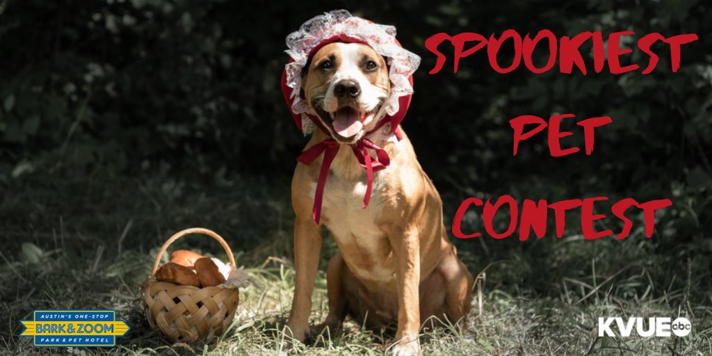 barkandzoom's tweet photo. Does your pet love to dress up for Halloween? All October, send us pics of your pet in their best Halloween costume to enter the Bark&amp;Zoom-KVUE Spookiest Pet Contest! Go to the Bark&amp;Zoom website to enter.

https://t.co/sAibbGKZpX https://t.co/jNhSrxMTIm