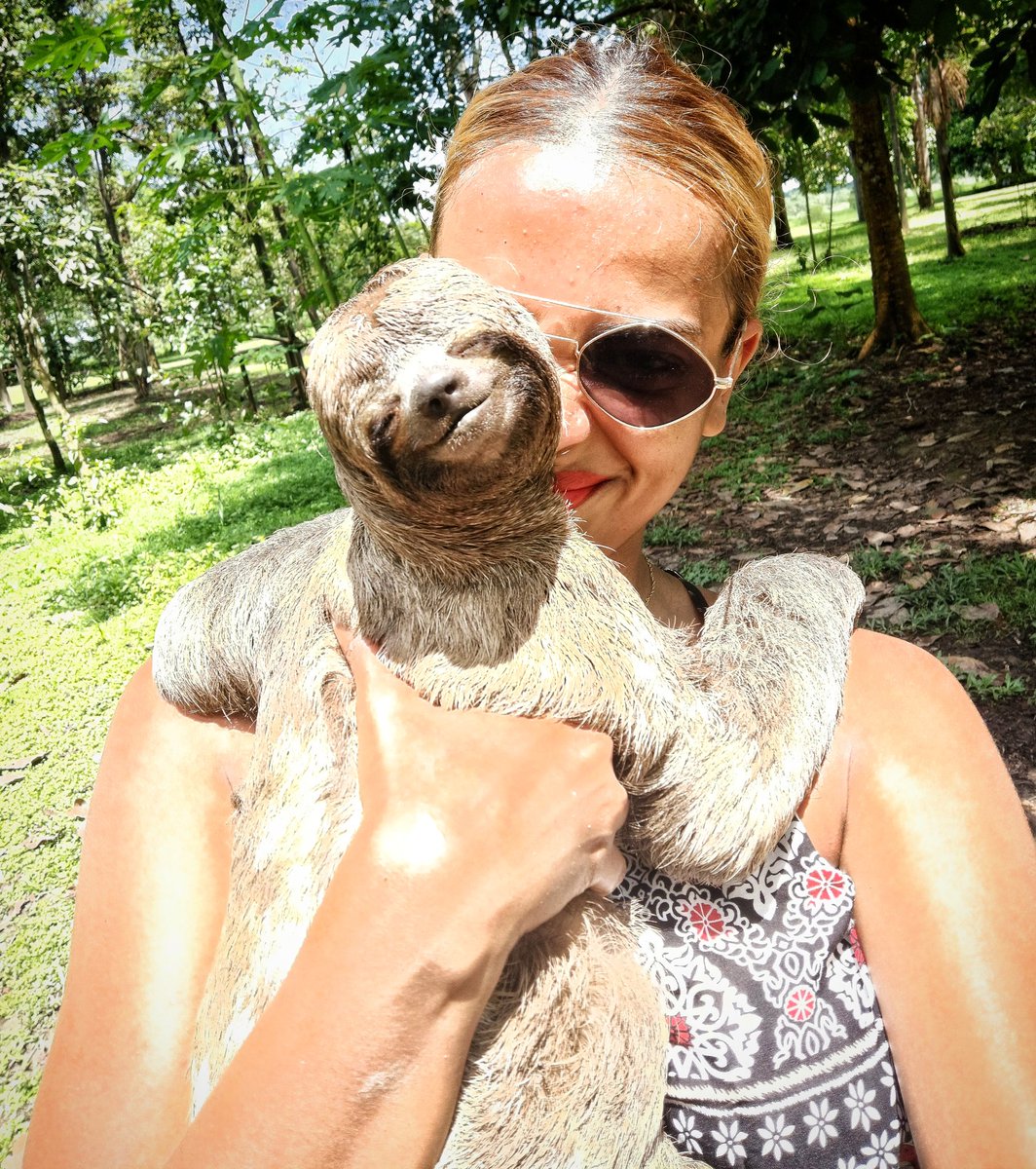 RathiMenon's tweet photo. This guy here is the sweetest of all😍💗😍 
#Iquitos #amazonperu #naturereserve https://t.co/7EGejA6unP