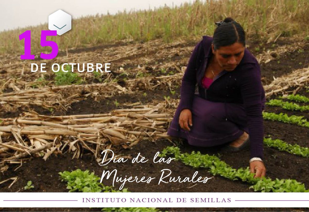 inaseargentina's tweet photo. Hoy es buen momento para darles a todas las mujeres del campo un aplauso gigante. Sin ellas, la humanidad no habría progresado tanto. 👩‍🌾

#DiadeLaMujerRural https://t.co/0GnCuWaibo