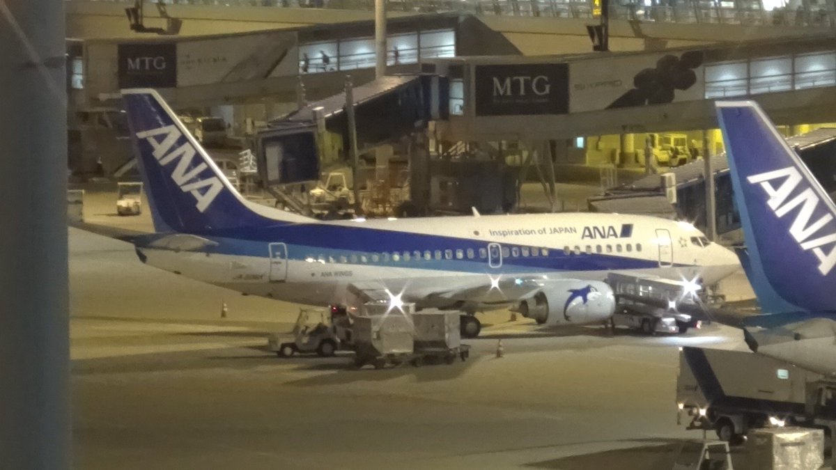 Ana485 Jrsaikou1 Twitter