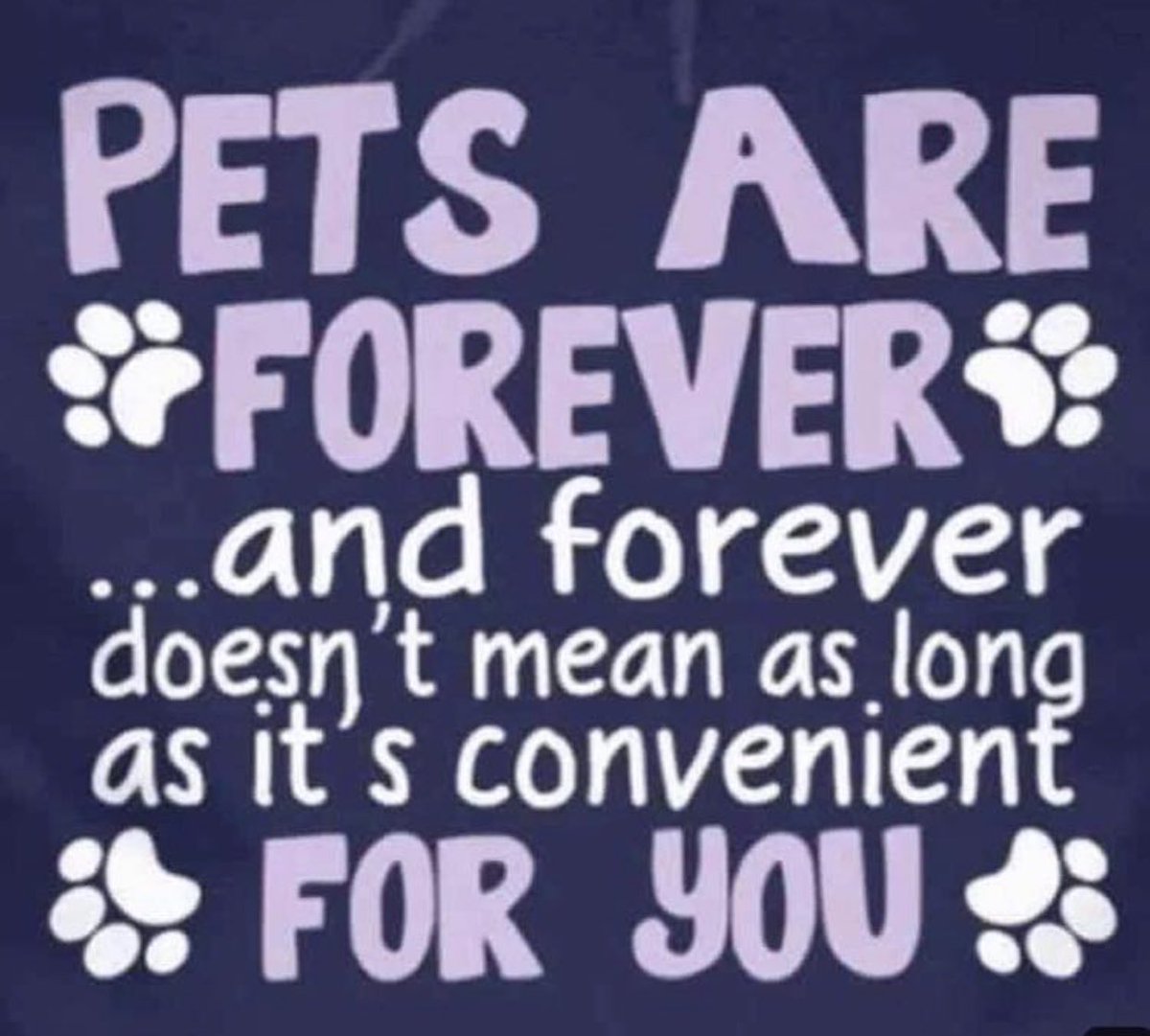 reddogsusie's tweet photo. https://t.co/sFoTLhNu05