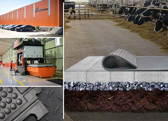 If you are looking for livestock bedding near you Hatko Cow mats is the right choice for you.

hatkocowmats.com/how-much-dairy…

#cowmats #rubbercowmats #horsestablemats #stablematsforsale #rubbermat #animalbedding #cowbedding #dairycowmats