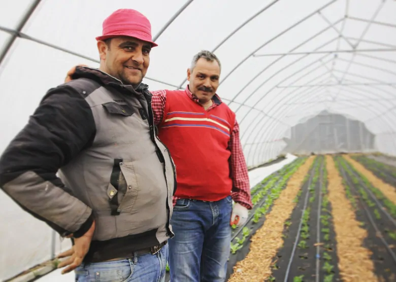 CBCNL's tweet photo. They were farmers in Syria. Then they were refugees. Now they are farmers again, here in N.L. 

A wonderful story about food and community 

https://t.co/6UVjwiaqmy https://t.co/8LcM9d6cF2