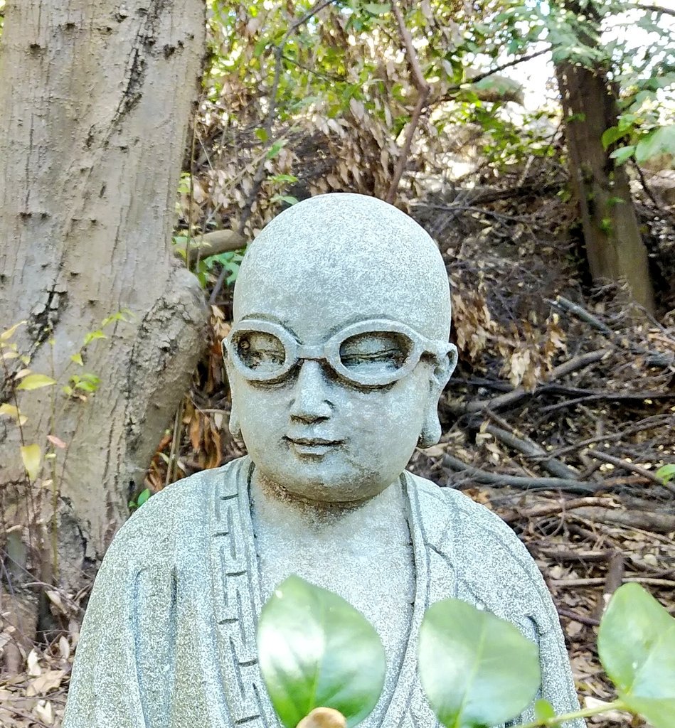 O Xrhsths 中村 吉男 Sto Twitter 最近 メガネ の細かいキズが気になるので メガネ屋さんで交換してもらおうと思う今日この頃 安全運転 交通安全 視力 裸眼 視界不良 メガネの日 眼鏡の日 O Xrhsths 中村 吉男 Sto Twitter 最近 メガネ の細かいキズが気になるので メガネ屋さんで交換してもらおうと思う今日この頃 安全運転 交通安全 視力 裸眼 視界不良 メガネの日 眼鏡の日