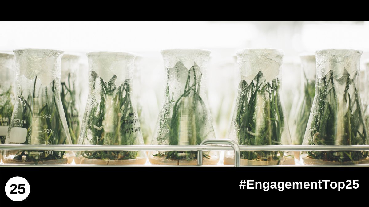Researchers can encourage local interest and support by engaging with the public - from Seoul to Santiago.

Do you have an interesting international #PublicEngagement example? Share your work here: wellc.me/2lUeeHL

#EngagementTop25 🌎 🇨🇱 🇰🇷