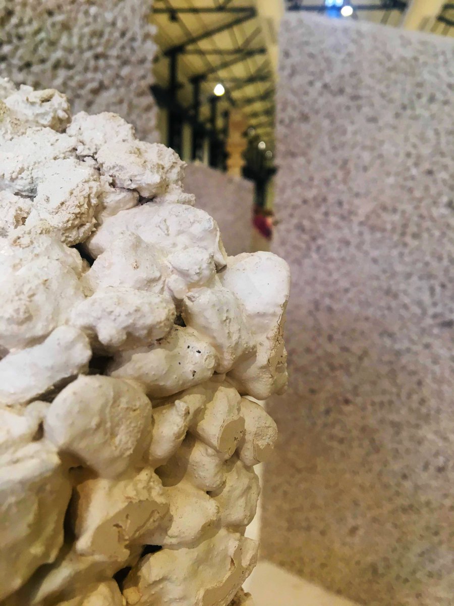 notshbool's tweet image. it&apos;s magnificent how gravel just combines together as soon as heat arises. people are very much like that, we unite when it gets tough

#AmmanDesignWeek