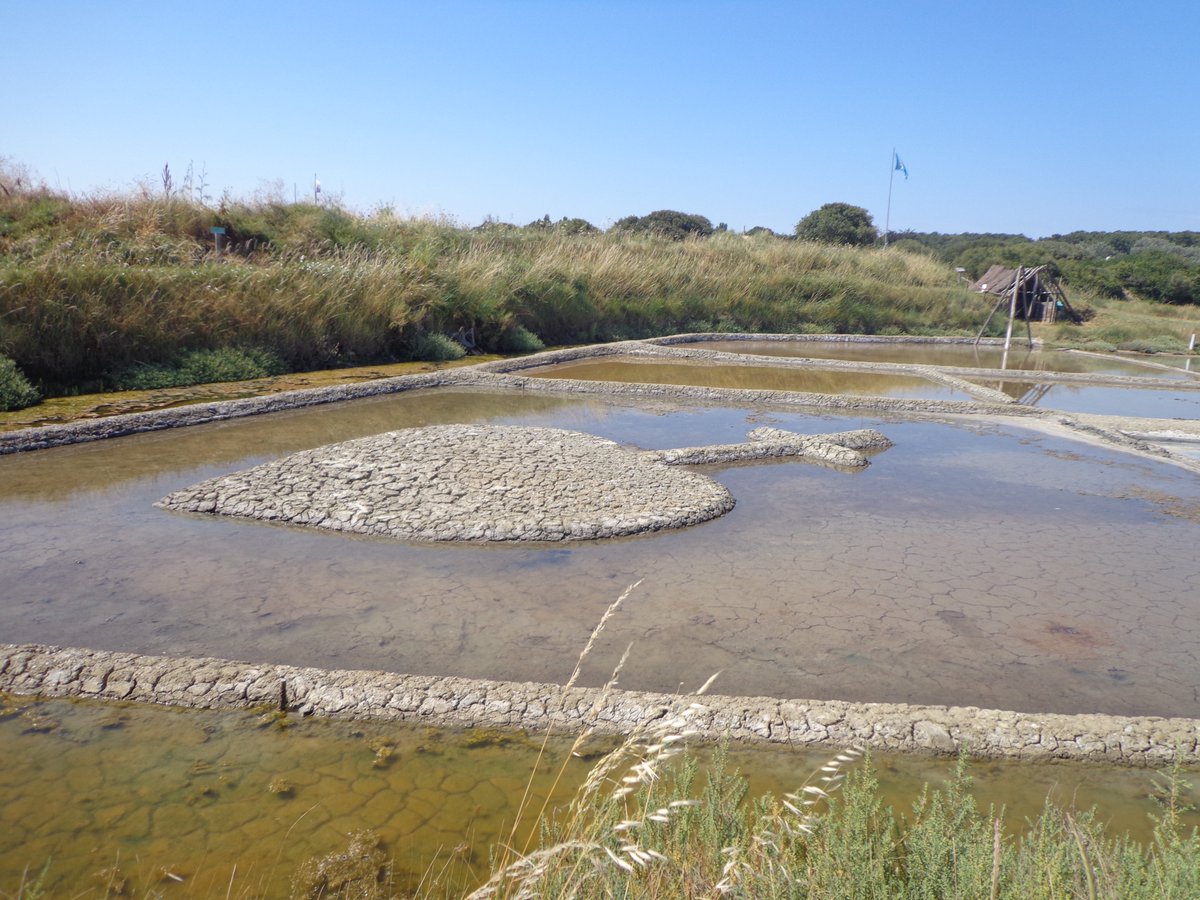 Pour les #vacances de la #Toussaint : 
Le parc d'Aventures des <a href="/LesSalines/">Les Salines</a> , le Zoo, le Musée Blockhaus Hôpital , le Musée du Masc, le Musée du Coquillage et bien d'autres sites sont ouverts 
VOIR : bit.ly/2phjS89
