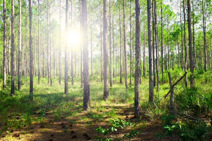 Key Appointments tweet media