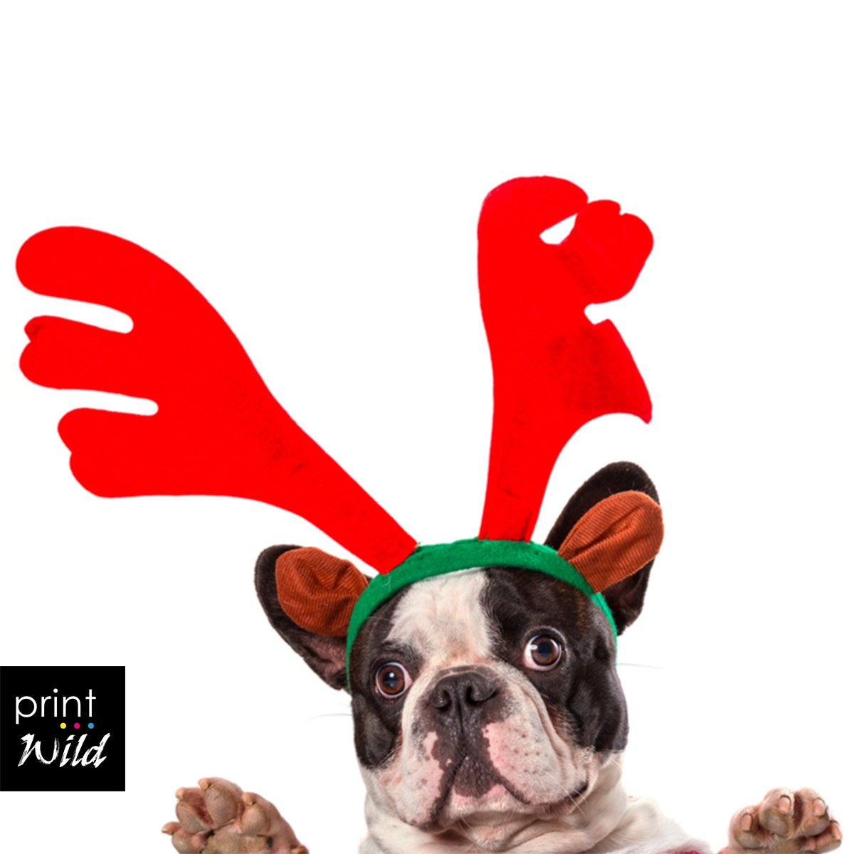 Just popping up to let you know that there are only 10 weeks until Christmas! 🎄 😱
Don't leave gifts to the last minute - order online now and make this year a no-stress celebration!
#canvasprints #faceblocks #framedphotos #magnatots #photobox #photomagnets