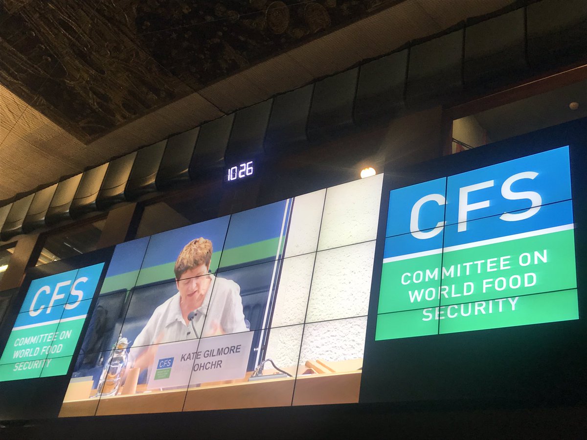 “We depend on land we don’t work, on food we don’t harvest. We depend on the daily work of rural women” <a href="/worldfarmersorg/">WFO</a> #IDRW #CFS46