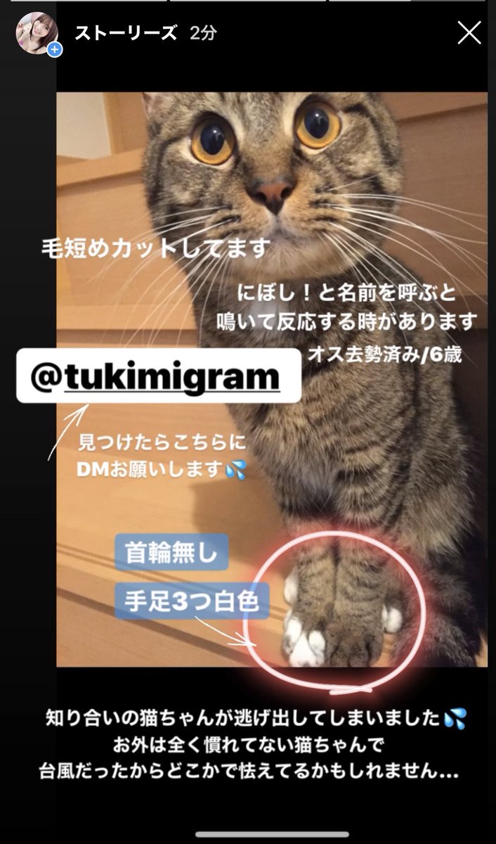 大槻ひびき♡ tweet media