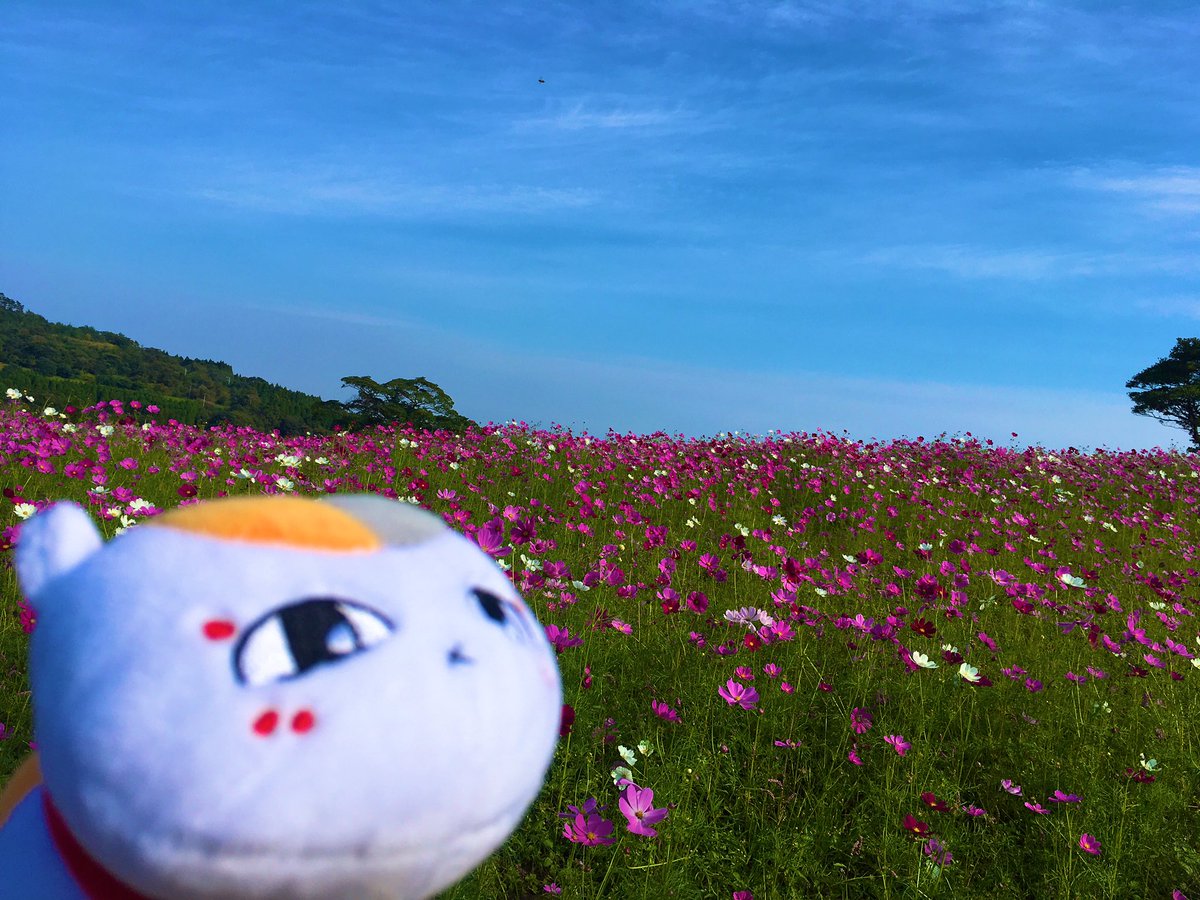 高千穂牧場 Takachiho Farm Twitter