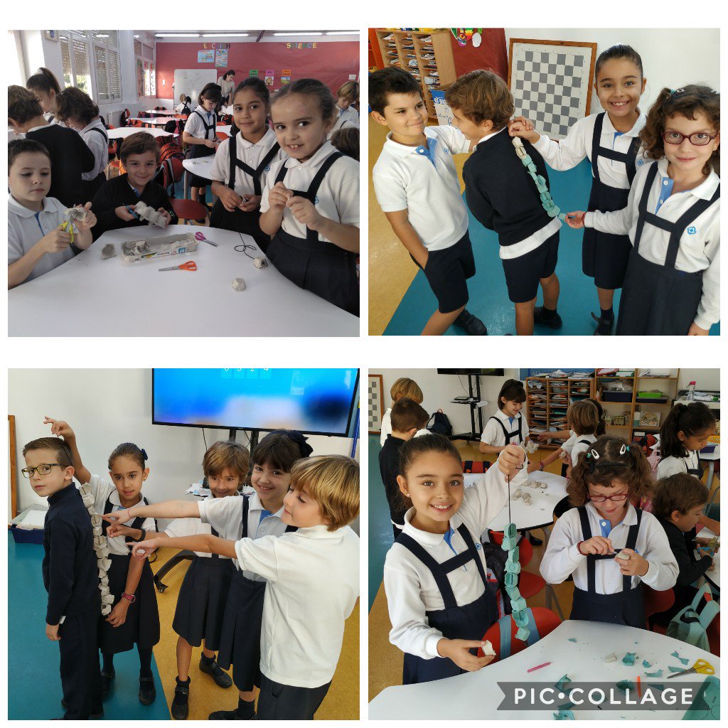 PrimNatzEsplu's tweet image. Working on vertebrates and invertebrates stations: making a backbone, compare and contrast and cooperative work! #elsmags #science2 #stations #vertebrates #invertebrates