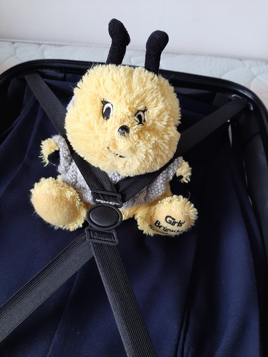 Cheeky Garth-Bee sneaking into Mrs Coops <a href="/coops01_mrs/">MrsCoops01</a> <a href="/gbgarthdee/">GBGarthdee</a> suitcase.