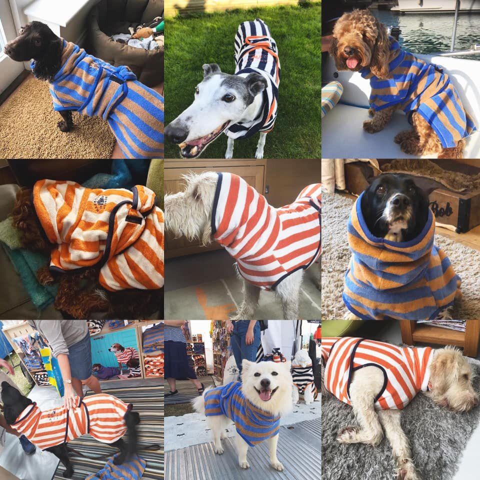 Harbour Hounds tweet media