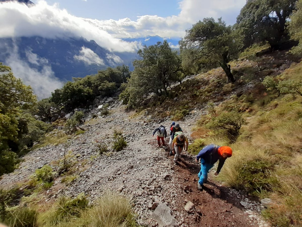 Mapa , brújula y altímetro ; un trio indispensable en la mochila de los futuros técnicos deportivos. 🗺️
Ayer salida por las inmediaciones del Agero, acompañada de un poco de lluvia que tanta falta hace☔☔
#cantabria #tecnicosdeportivos  #td1 #excursionismo