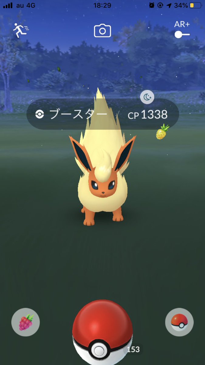 野生ブースター