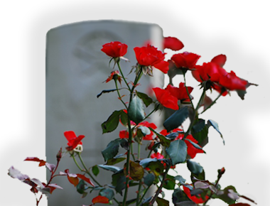 MoneyForce tweet media