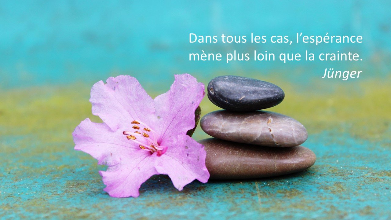 Transaxio La Citation De La Semaine Dans Tous Les Cas L Esperance Mene Plus Loin Que La Crainte Junger T Co Tij9qnizff Twitter