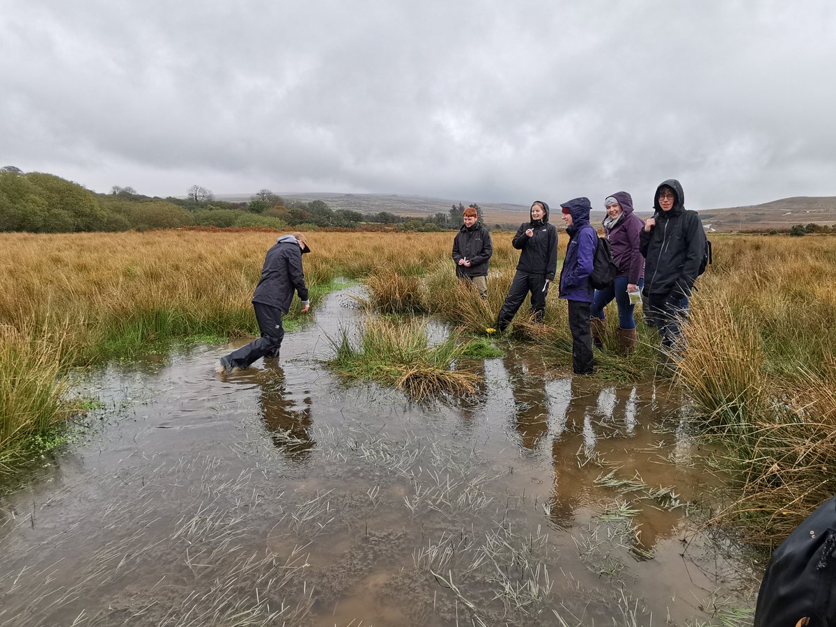 ukadventuregurl's tweet photo. More damp fun during the 1st day of @PlymUni @MBERC_PlymUni #PlyMBIO MBCE field week out at  Cadover Bridge on Dartmoor! https://t.co/Ulgjxj8hhv