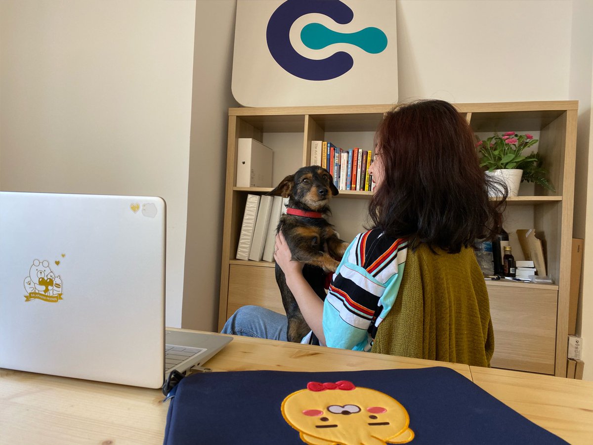 La nueva mascota de Chipi🥰 #FelizMartes