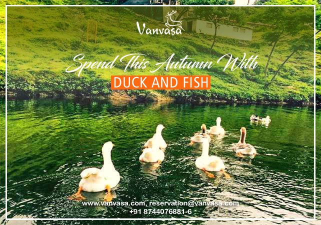 VanvasaR's tweet photo. Spend some quality time with your family in flora and fauna of uttrakhand.
Visit : https://t.co/yyzqgzV0k5
Contact : 8744076881-6 https://t.co/hxMrX7Z87i