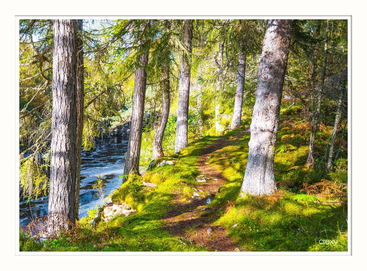 Seems wet elsewhere in the UK, but up here in the Highlands, it's brilliant weather!  Fantastic walks with the very freshest of air! Autumn offers a kaleidoscope of colour not to be missed!
<a href="/VisitScotland/">VisitScotland</a> <a href="/NorthCoast500/">North Coast 500</a> <a href="/ScottishField/">Scottish Field</a> <a href="/WeLoveScotland/">We Love Scotland</a> #Invercassley #Sutherland