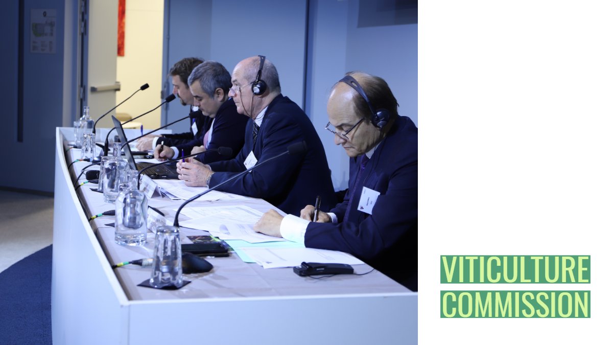 Our autumn meetings started yesterday in Paris. Tomorrow we will go on in Vale de Loire region, until Friday 19th, for the adoption of the 2020-2024 OIV Strategic Plan. 👇This morning's Viticulture commission meeting #oivmeetings #oivstrategicplan