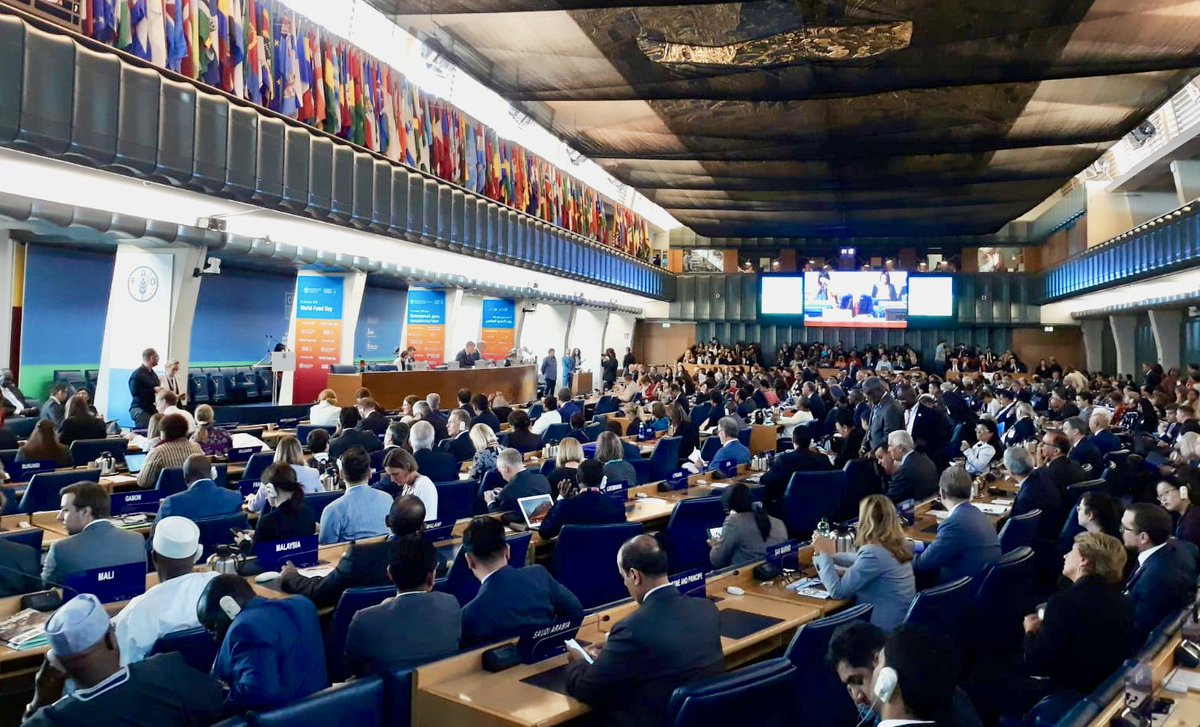 CSM4CFS's tweet photo. We are at @FAO in Rome this week for #CFS45, bringing the voice of smallholder farmers, pastoralists, fisherfolk, #IndigenousPeoples, peasants, women, youth, NGOs, rural and urban peoples and social movements from around the world, to discussions on #FoodSecurity. https://t.co/GlGRYpxEtM