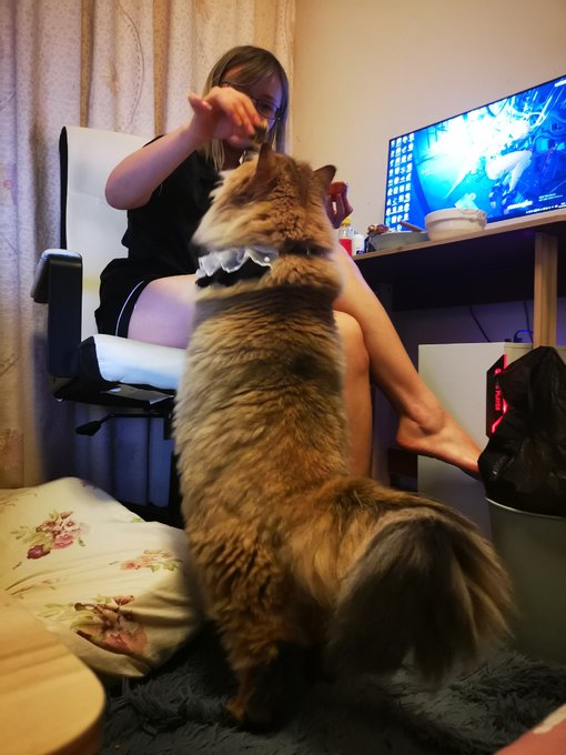 Twitterのコスプレ画像30