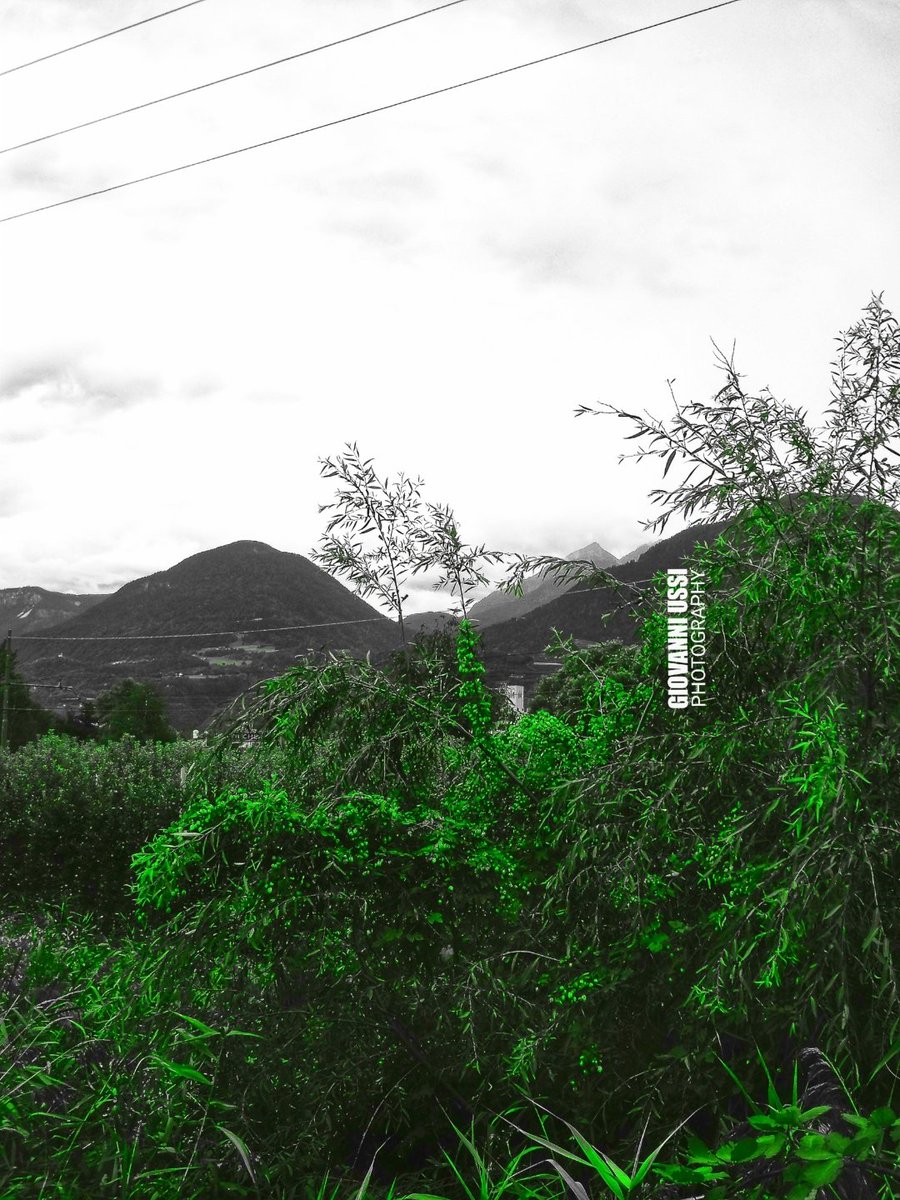 Mountain landscape - Photo by Giovanni Ussi @giovanniussi #bnw #bw #blackandwhite #bnwphotography #giovanniussi #blackandwhitephotography #ussi #giovanniussiphotos  #landscape_capture #art #captures #photo #bnw_giovanni_ussi #variegatedfoliage #bnwmood #biancoenero #nature