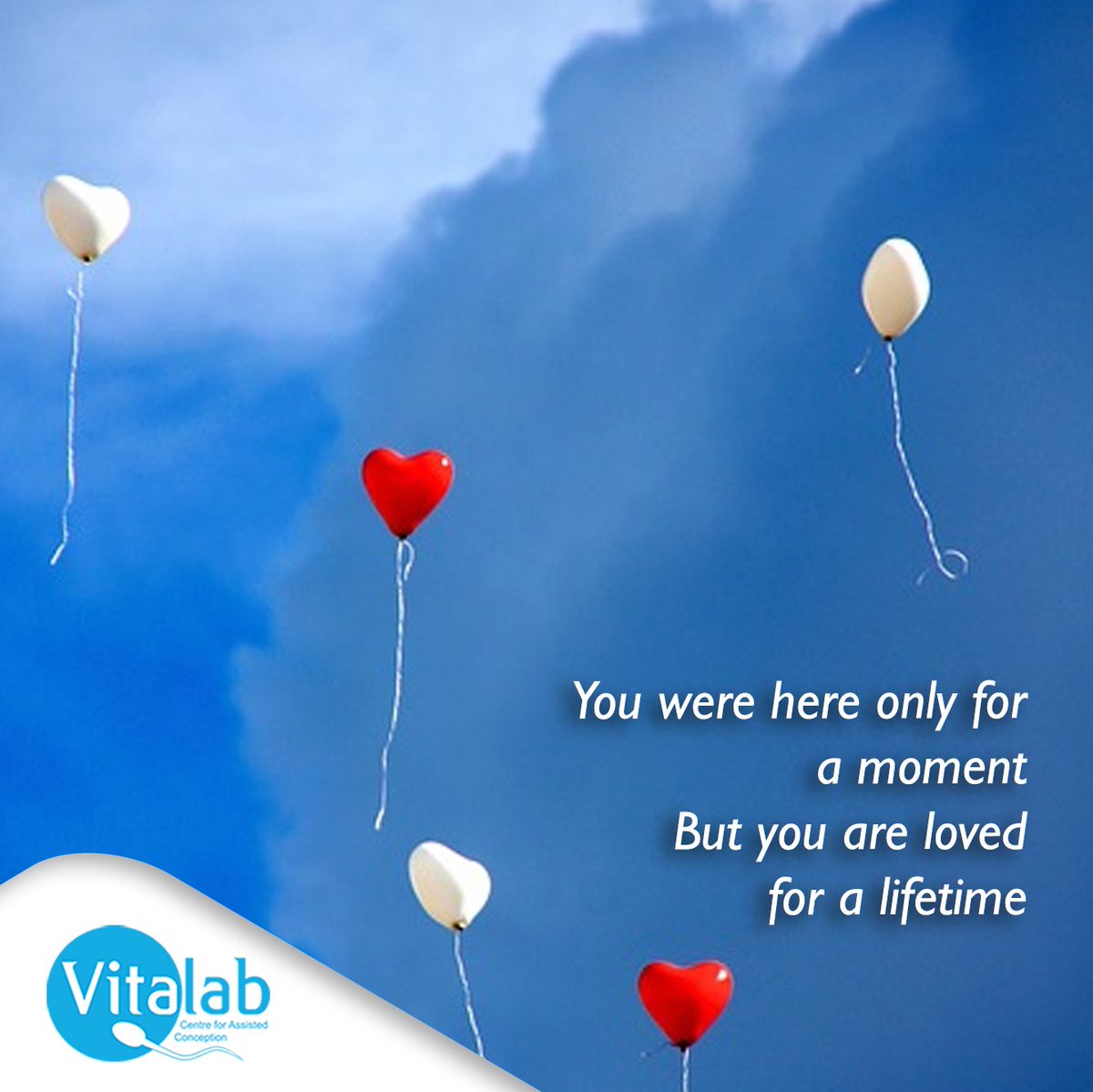 VitalabSA's tweet photo. Today we honour, celebrate, and remember babies who have passed away due to miscarriage, stillbirth, neonatal death, and other causes of infant loss. 

#PregnancyLoss #InfantLoss #InfantLossAwareness #PAILRD #Miscarriage #Infertility #Fertility #TTC 

https://t.co/LsUhVukAG3 https://t.co/SDD62V9YzE