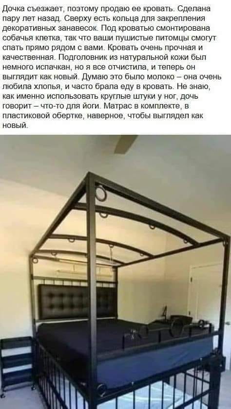 EG6Y00xX0AAJIR5.jpg:large