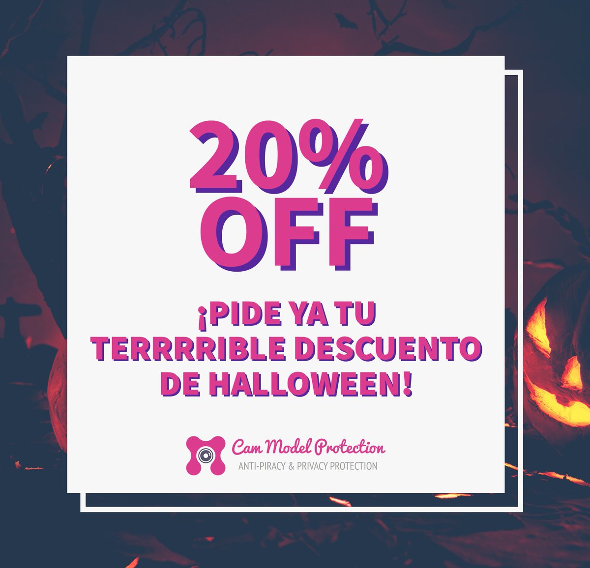 Cam Model Protection Promotion tweet media