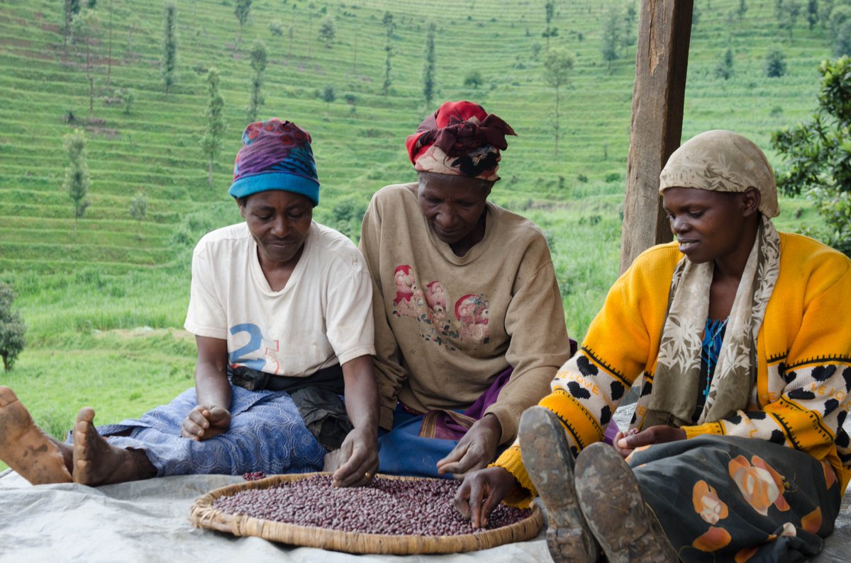 As we celebrate #WorldFoodDay, we cannot talk about food without farmers and only farmers could understand the significant impact of producing and consuming high-iron beans on families' livelihood. we thank farmers for producing nutritious beans which end up on our plates!