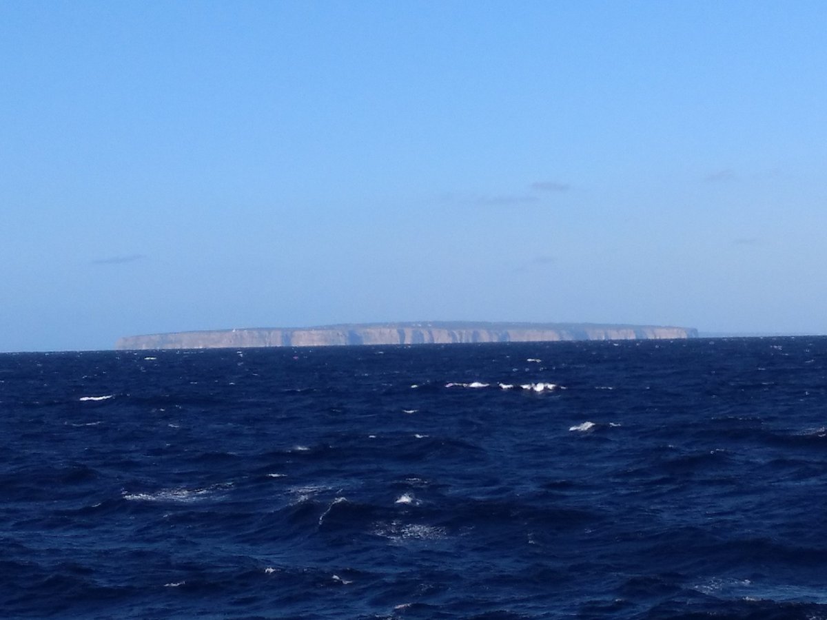 gemar_ieo's tweet photo. Hoy estamos realizando estaciones de #beamtrawl #dragasderoca y #shipek en la cima del #AusiasMarch ⛰️🌊, muy cerca de Formentera.

Como veis, ha empezado a refrescar, dándole la despedida al #veroño que nos ha acompañado hasta ahora 🌞🌬️🧥

#INTEMARES1019 #CanalDeMallorca https://t.co/AgHiMUTLaU