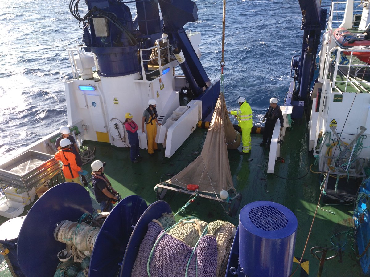 gemar_ieo's tweet photo. Hoy estamos realizando estaciones de #beamtrawl #dragasderoca y #shipek en la cima del #AusiasMarch ⛰️🌊, muy cerca de Formentera.

Como veis, ha empezado a refrescar, dándole la despedida al #veroño que nos ha acompañado hasta ahora 🌞🌬️🧥

#INTEMARES1019 #CanalDeMallorca https://t.co/AgHiMUTLaU