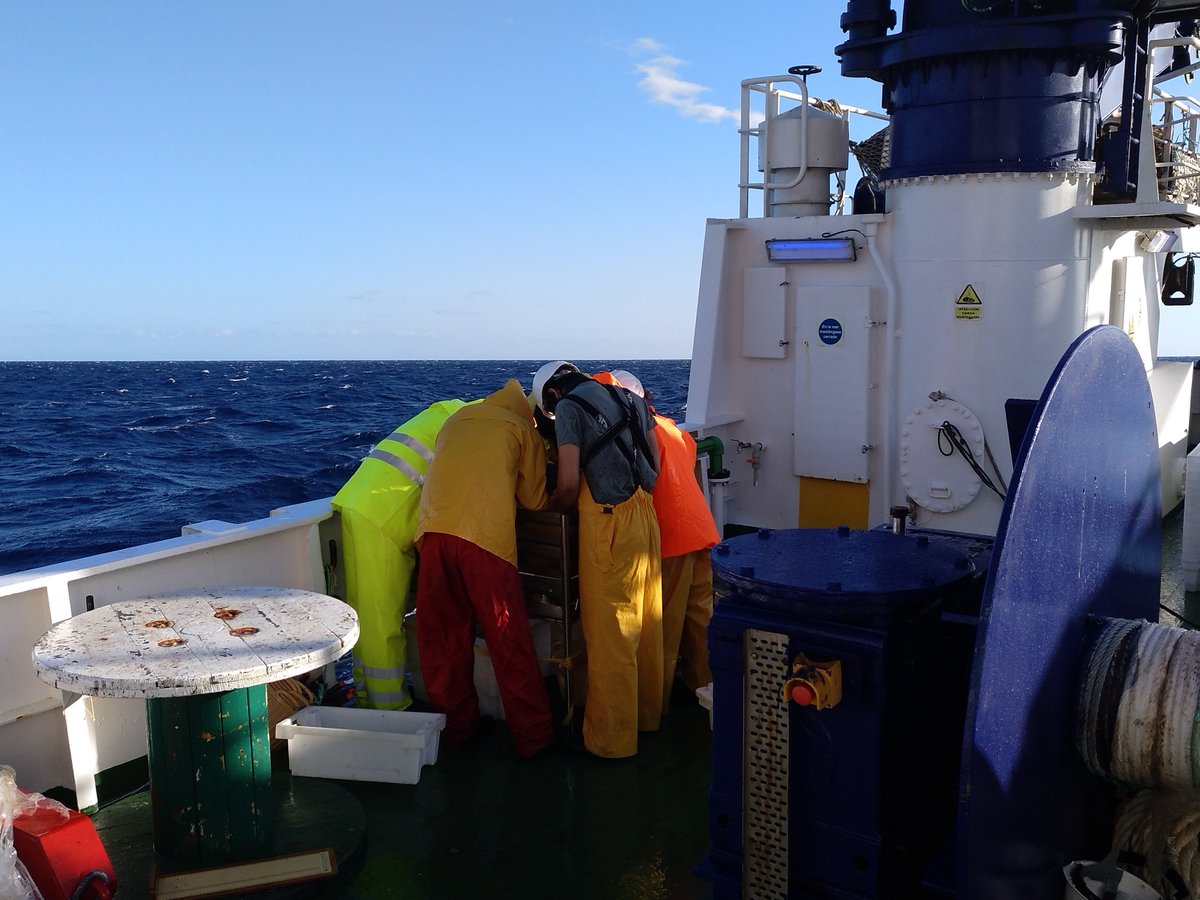 gemar_ieo's tweet photo. Hoy estamos realizando estaciones de #beamtrawl #dragasderoca y #shipek en la cima del #AusiasMarch ⛰️🌊, muy cerca de Formentera.

Como veis, ha empezado a refrescar, dándole la despedida al #veroño que nos ha acompañado hasta ahora 🌞🌬️🧥

#INTEMARES1019 #CanalDeMallorca https://t.co/AgHiMUTLaU