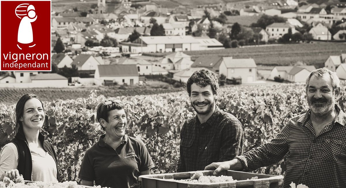 LaRVF_mag's tweet photo. Le salon des Vignerons Indépendants fait escale à Lyon du 31 octobre au 4 novembre 2019. Après avoir dégusté les vins qui y seront présentés, nous vous dévoilons nos 50 coups de coeur !
 https://t.co/kEFGRhDZG7 https://t.co/sdkLlLBlD0