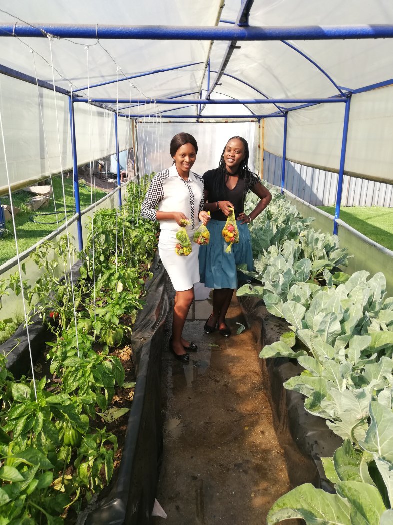 VanleerZimbabwe's tweet photo. When a demo plot can do a whole lot more! You can have such a greenhouse structure on your backyard.
For all your greenhouse and Netlon Plastic orders
Inbox or contact VanLeer Zimbabwe
0788094353 |0788094352 |0717714996
#VanleerZimbabwe
#demoplot
#greenhouses
#horticulture https://t.co/qvWsjNJUpJ