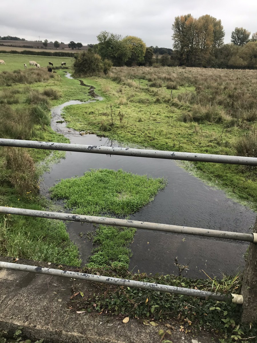 Our first glimpse of the  #Ver (albeit fed by rain water rather than the aquifer).