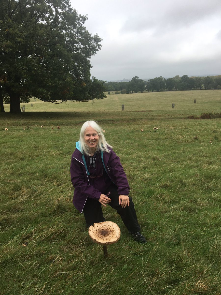 fungi1st's tweet photo. What a fairy ring with its very own dryad....@FungusProf https://t.co/jww5UW4yFZ
