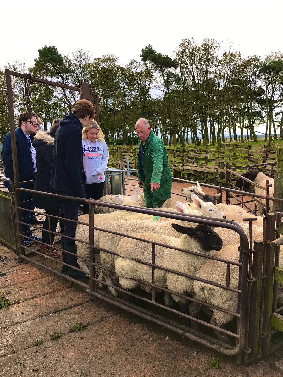 Today we hosted @qmscotland   @SavourStAndrews Scotch Lamb chefs learning journey where these young chefs saw first hand the quality of lamb produced with the highest welfare #MeatWithIntegrity #scotchlamb #farmtofork #scotchlambpgi