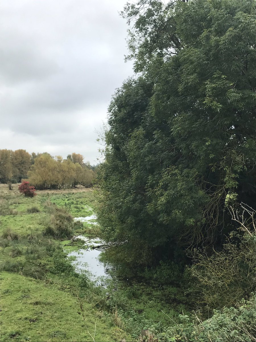 A mill once stood here, powered by a mill stream that in 1885 was reported to have a depth of 12 ft. In the early 15th century a child fell into the stream, was broken on the wheel & killed. But his mother prayed to St Alban, who heard her & restored the child to life.  #Ver